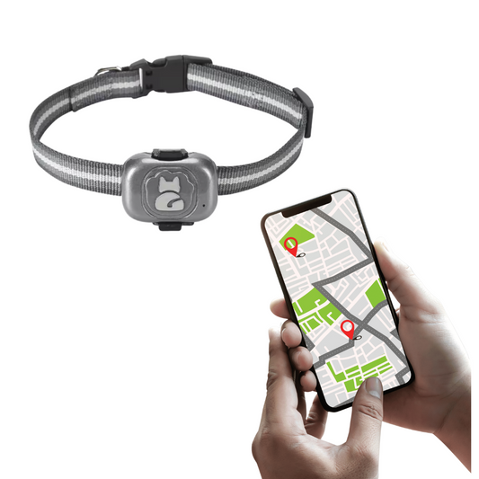 Coleira rastreadora GPS a prova de agua e poeira (IP67) Cães e gatos